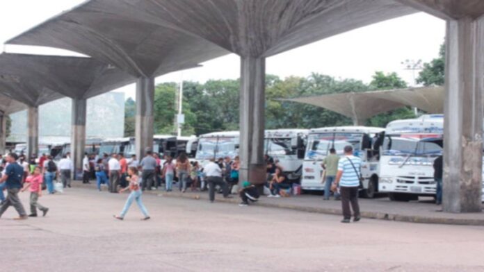 Mas-de-48.000-personas-se-movilizaron (1)