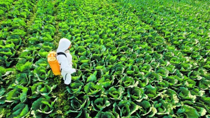 Fertilizantes
