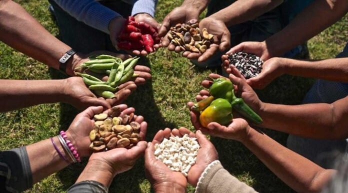 ALIMENTACIÓN VENEZUELA (1)