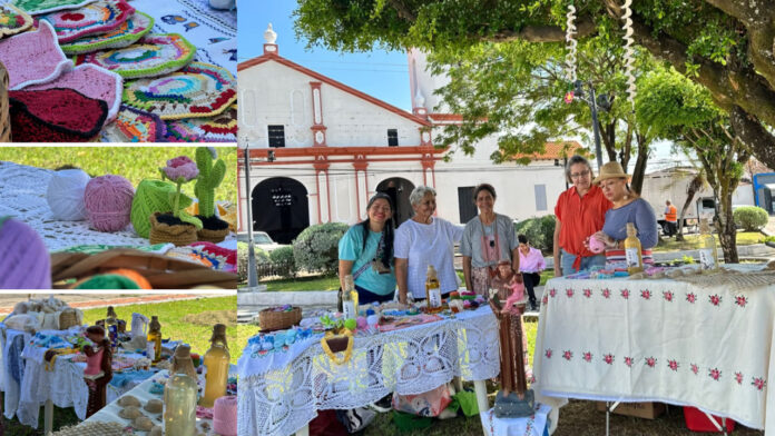 Proyecto nuevo (5)