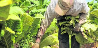 Productores y autoridades coordinan acciones contra el contrabando de agroquímicos en Trujillo