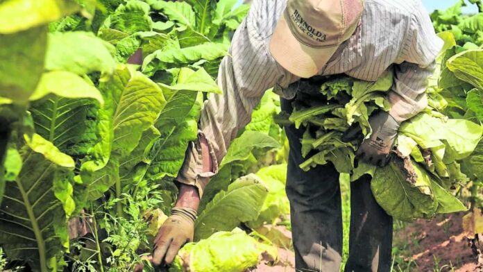 Trujillo Productores y autoridades coordinan acciones contra el contrabando de agroquímicos en Trujillo