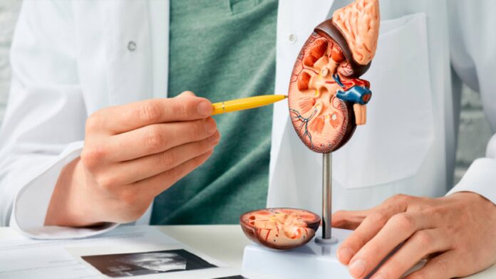 clinica-la-luz-urologia-main