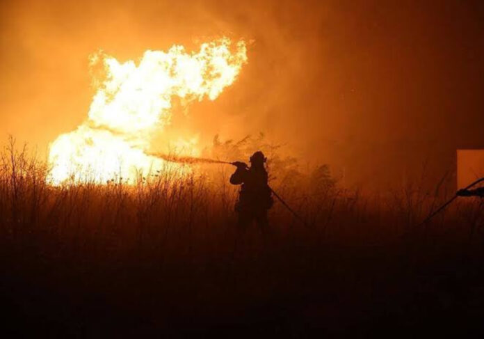 BOMBERO (1)