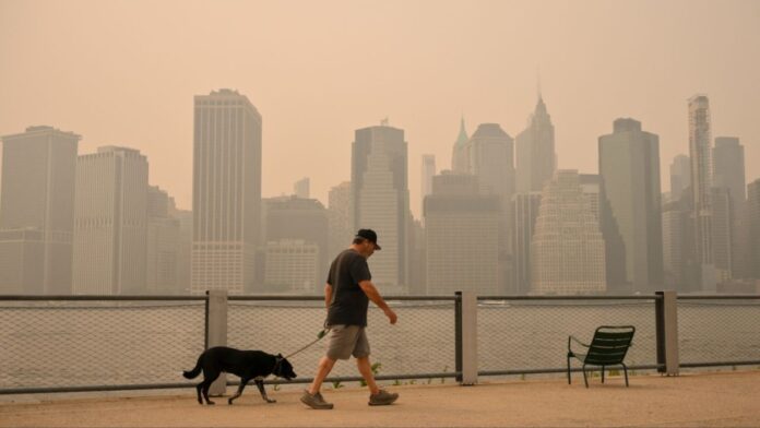 New York (1)